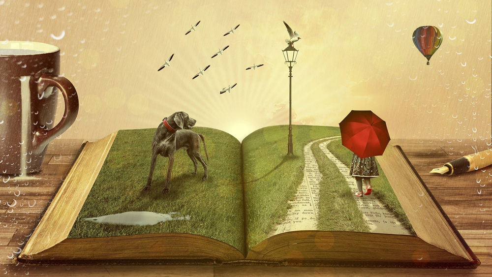 Books and Reading