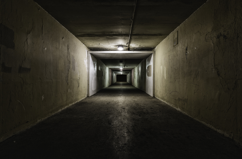 Lisa Shea Horror Stories