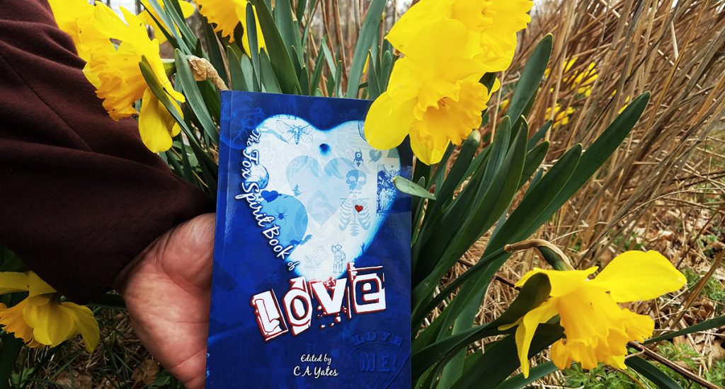 The Fox Spirit Book of Love